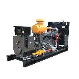 200kw 250kva Gas Generator Natural Gas Generator for Power Plant with ats/CHP