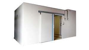 Hugecool Đi Bộ Trong Tủ Đông Lạnh Lưu Trữ Phòng Cho Thịt Cá Rau Trái Cây - Product Image 4