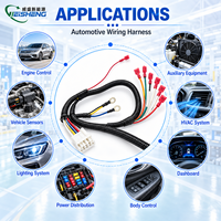 Faisceau de câblage automobile personnalisé multi-branques avec bornes à fourche et connecteurs