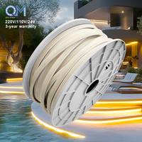 Bande LED COB IP68 IP65 Garantie 2 ans 24V 12V 5mm Bande LED Lumineuse Extérieure Étanche