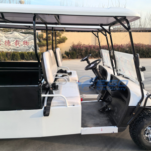 Carrito de Golf Eléctrico Personalizado de 2 Personas, 72V, con Plataforma de Carga y Características de Camioneta, Hecho en China - Product Image 3