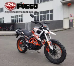 铁拳250摩托车ENDURO自行车冒险运动摩托车编号2209007