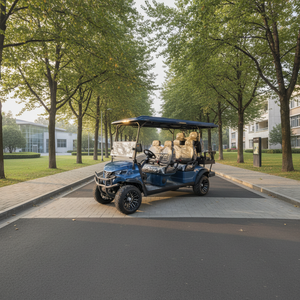 Mini Golf Cart Elettrico 48V con Sedili in Pelle Certificato CE 5-6 Posti Velocità 30-50Km/h Omologato per Strada per Anziani - Product Image 1