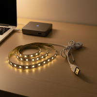 Lampu LED Strip USB 5V 5050 untuk Penerangan Latar Belakang TV 50cm / 1m / 2m 60LED/m Putih Hangat / Putih Kabel USB dengan Saklar Set Strip