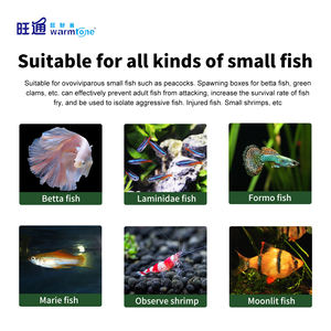 WT-2003/WT-2005/WT-2007 Tk Hot Plastic Materiaal Incubator Outdoor Aquaria Accessoires Internationale Certificeringen Gemaakt China - Product Image 3