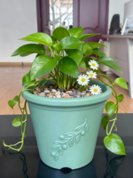 Pot de fleurs en plastique PP, pot de pépinière individuel avec motif de feuille en relief, jardinière moulée par injection pour la maison et l'extérieur