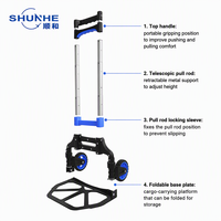 Chariot à main pliable en aluminium robuste de qualité industrielle OEM, bleu, durable, léger, capacité de 60 kg, roues en TPR PP