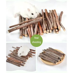 Lot de 10/15/20 pièces pour hamster <span class=keywords><strong>lapin</strong></span>, ponçage des dents, bâton de pommier, minéraux molaires, jouets en bois, pour chinchilla hamster, accessoires pour animaux de compagnie - Product Image 4
