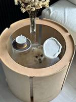 Table basse sculpturale en bois pour chien, design moderne, luxe durable, style Japandi, lit pour animal de compagnie