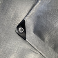 Bâche en PE pour camion agricole et extérieur, imperméable, anti-UV, coupe-vent, anti-poussière, légère, en tissu tissé, avec œillets renforcés et laminée