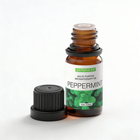 Huile Essentielle de Menthe Poivrée Pure 10ml de Qualité Thérapeutique, Mélange Naturel, Marque Privée OEM, pour Diffuseur d'Arômes