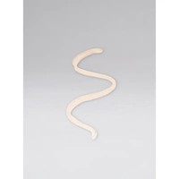 Crayon à lèvres pour définir le contour et estomper la base de rouge à lèvres onctueuse au toucher brumeux