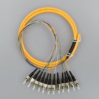 Pigtail Bundel Serat Optik 12-Core ST/UPC 0.9mm 1.5m G652D 9/125um Singlemode Kompatibel POE untuk Penggunaan Dalam Ruangan