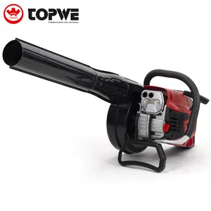 TOPWE Top Sales Portable Blower Bl-6959 58cc 2.2kw High Power Leafs Blower And Snow Blower With Long Tube