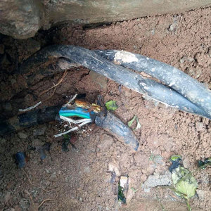 Appareil de test de défauts de câbles souterrains dans les véhicules VS2088Plus avec amplificateur et condensateur intégrés - Product Image 6