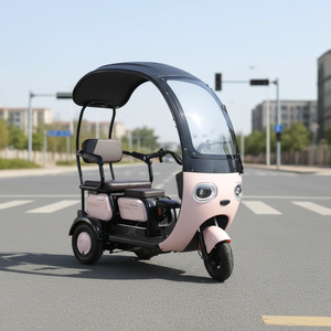 Tricycle Électrique <span class=keywords><strong>3</strong></span> <span class=keywords><strong>Roues</strong></span> 600W 800W 1000W le Plus Vendu pour le Transport de Passagers et la Livraison de Repas - Product Image 3