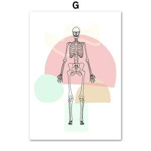 Pósteres de anatomía, impresiones artísticas de pared en lienzo, estilo de diseño Art Deco, decoración de clínica de habitación de Doctor, esternón, columna vertebral, corazón, cerebro, huesos humanos - Product Image 4