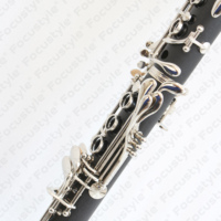 Hard Rubber FOCUS Brand C Tone Clarinet Music Instrument 18 Keys with Wooden Box with Cheap Price