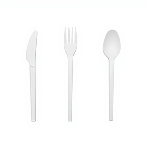 Vente directe d'usine, <span class=keywords><strong>vaisselle</strong></span> <span class=keywords><strong>jetable</strong></span> écologique <span class=keywords><strong>moins</strong></span> chère, contenants alimentaires 100% biodégradables pour le camping et les plats à emporter - Product Image 2