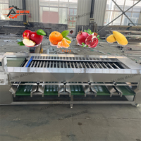 Machine de tri et de calibrage des fruits et légumes ALLWIN AWFX-70, capacité de 1500 kg/h pour le tri et le calibrage des tomates, oignons, oranges, pommes de terre, avocats, dattes, fruits, pommes