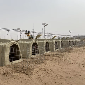 Buzağı ada paslanmaz çelik kova buzağı Corral buzağı aktivite kalem ve Fenced inek döken - Product Image 1