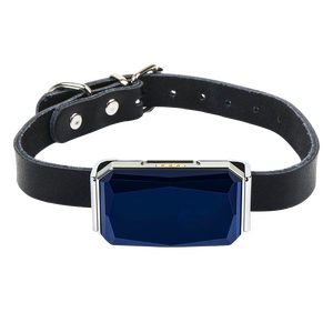G12 impermeable <span class=keywords><strong>GPS</strong></span> localizador de mascotas <span class=keywords><strong>Collar</strong></span> inteligente universal para gatos y perros con control remoto Beidou y rastreador de posicionamiento AGPS - Product Image 1