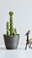 Greenship – pots de fleurs et jardinières en plastique 100% étanches et modernes, non-toxique, petits pots de plantes d'intérieur
