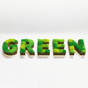 Skyseen Tùy Chỉnh Nhân Tạo Moss Chữ Màu Xanh Lá Cây Tường Moss Tường Nghệ Thuật Từ Trang Trí Biển Quảng Cáo Cho Boutique LED Thư Dấu Hiệu - Product Image 1