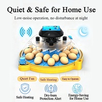 Incubateur domestique tout-en-un pour l'éclosion et l'élevage des jeunes poussins, avec alimentation automatique en eau, couvercle transparent et observation facile