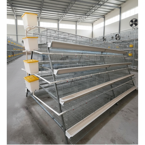 Jaulas para gallinas ponedoras de <span class=keywords><strong>segunda</strong></span> <span class=keywords><strong>mano</strong></span>, capacidad para 96 aves, para 2000 aves, para pequeñas granjas, Kenia - Product Image 1