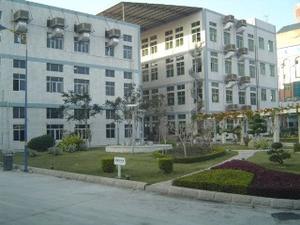 Honghao fornisce polvere di carota pura polvere di carota biologica - Product Image 4