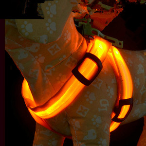 ปลอกคอสัตว์เลี้ยงแบบปรับได้พร้อมไฟ LED สำหรับกลางคืน ทำจากไนลอน ปลอดภัย ชาร์จ USB ได้  เสื้อกั๊กเรืองแสงสำหรับสุนัข ขายส่งแบบกำหนดเองได้ - Product Image 2