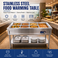 Fabrik-Großhandel Elektrischer Dampftisch-Speisenwärmer aus Edelstahl mit GN-Behälter, Kommerzieller Buffet-Server für Restaurant und Hotel, CE-zertifiziert