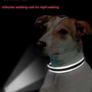 2026 Hot Sale Adjustable Training Plain Nylon Pet Collar <b>Hardware</b> Buckle Reflective Webbing For Dog Night Walking Safely - Product Image 6