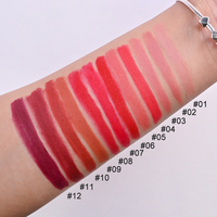 Pleine couleur pas facile à estomper Maquillage antiadhésif Lip Liner Waterproof Liquid Lip Marker Pen