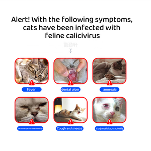 घरेलू उपयोग के लिए एमआर फेलाइन कैलिविवायरस (एफसीवी) एंटीजन रैपिड टेस्ट किट-घर के उपयोग के लिए आसान संचालन सुरक्षित और विश्वसनीय पशु चिकित्सा उपकरण - Product Image 3