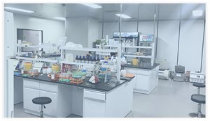 ชุดตรวจ ELISA สำหรับตรวจหาโปรตีน LASS2 ในมนุษย์ ความไวสูง 0.071ng/<span class=keywords><strong>mL</strong></span> ความไวในการตรวจวัดปริมาณโปรตีน ความแม่นยำที่เชื่อถือได้ 48T/96T - Product Image 6