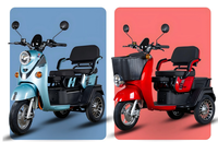 Scooter électrique à 3 roues stable et sûr avec deux sièges pour les trajets urbains, tricycle électrique pour deux passagers