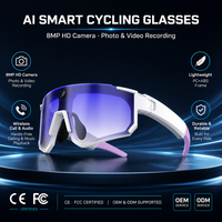 Lunettes Intelligentes IA Certifiées CE FCC avec Caméra 8MP, Téléchargement Sans Fil, Appels en Voiture, Cyclisme, Vente en Gros, Distributeurs, Importateurs, EIS