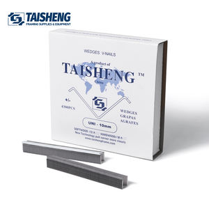 Clous en V pour cadre photo TS-D41, type UNI, 10 mm, bois tendre, pour cadres photo - Product Image 1