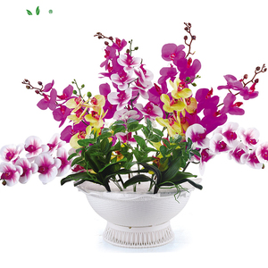 La planta de jardín de plástico PP <span class=keywords><strong>barato</strong></span> colgante flor olla - Product Image 4