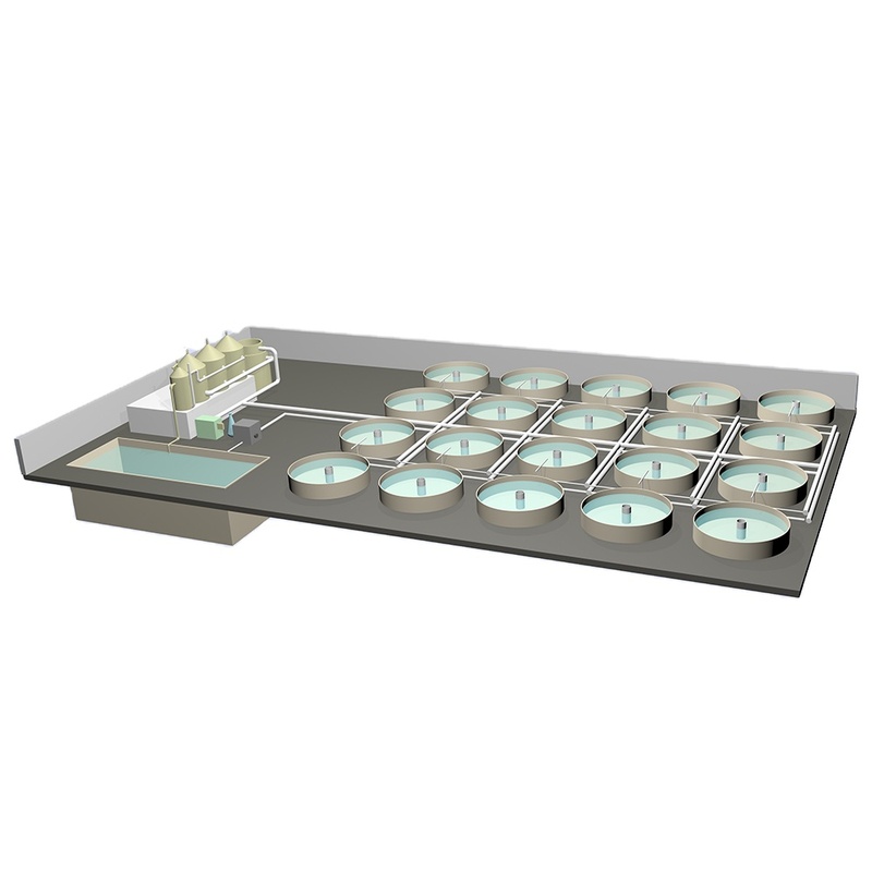 High Quality PVC Tilapia Ras Fishing