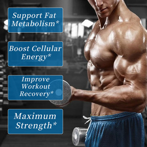 L-Carnitina Líquida OEM ODM con Sabor a Bayas para la Recuperación Muscular, Impulso de Energía Natural y Motivación - Product Image 5
