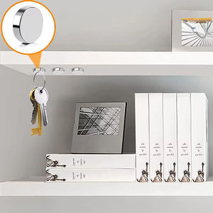 Aangepaste Ronde Schijf Sterke Magnetische Eigenschap Zeldzame Aarde Gesinterde N52 Kleine Permanente Neodymium Magneten - Product Image 4