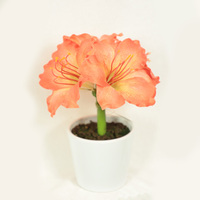 Unique Bonsaï Arbre Plante Intérieur Faux Bureau Feuilles Vertes Avec Des Fleurs Rouges Artificielle Clivia Fleur Plante