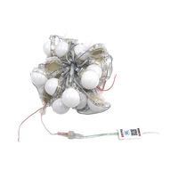 Lumière ponctuelle LED intelligente connectée au Wi-Fi pour l'éclairage extérieur des bâtiments et des paysages, étanche en PVC IP65, options monochromes et colorées