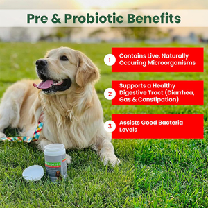Probiotiques sous Marque Blanche en Bouchées Tendres pour Chiens et Chats – Stimule la Digestion, la <span class=keywords><strong>Flore</strong></span> <span class=keywords><strong>Intestinale</strong></span> et le Système Immunitaire pour les Soins Quotidiens des Animaux - Product Image 2