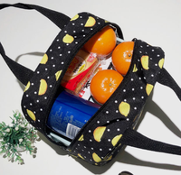 Sac à lunch isotherme pour enfants, sac à bento portable pour l'école, les pique-niques, les voyages, boîte à lunch thermique pour enfants, porte-boîte à lunch durable en polyester