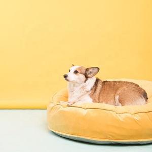 High End <strong>Pet</strong> Bed Luxury Dog Bed Soft Velvet <strong>Pet</strong> <strong>Sofa</strong> with Removable Cover Available in Multiple Colors - Product Image 3
