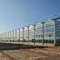 Glazen landbouwkas, intelligente groeitent voor groenten, kasbouw en -constructie, klimaatregeling, kas